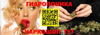 метадон Моздок